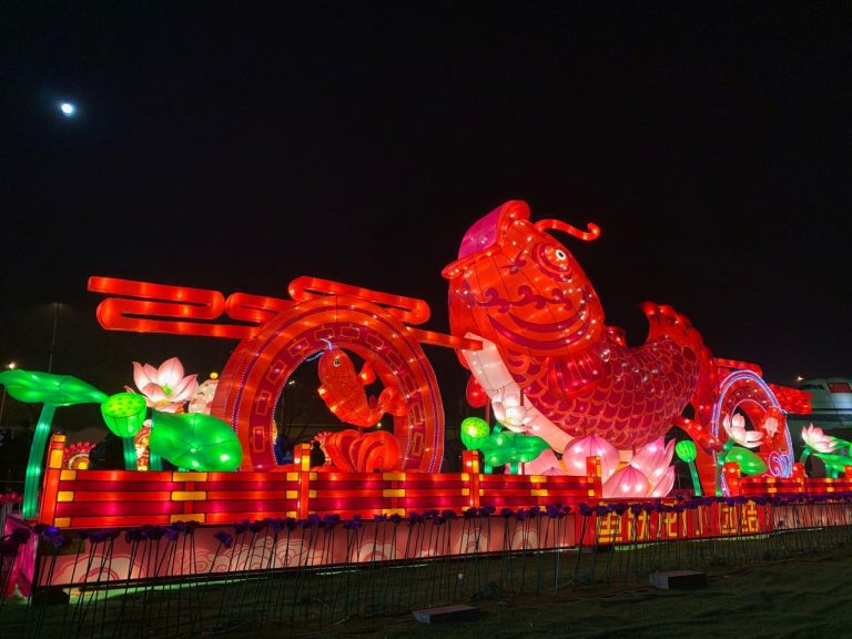 玉壺光轉(zhuǎn)，一夜魚龍舞